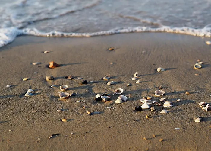 Amazing Penthouse With Hydro-massage Lägenhet